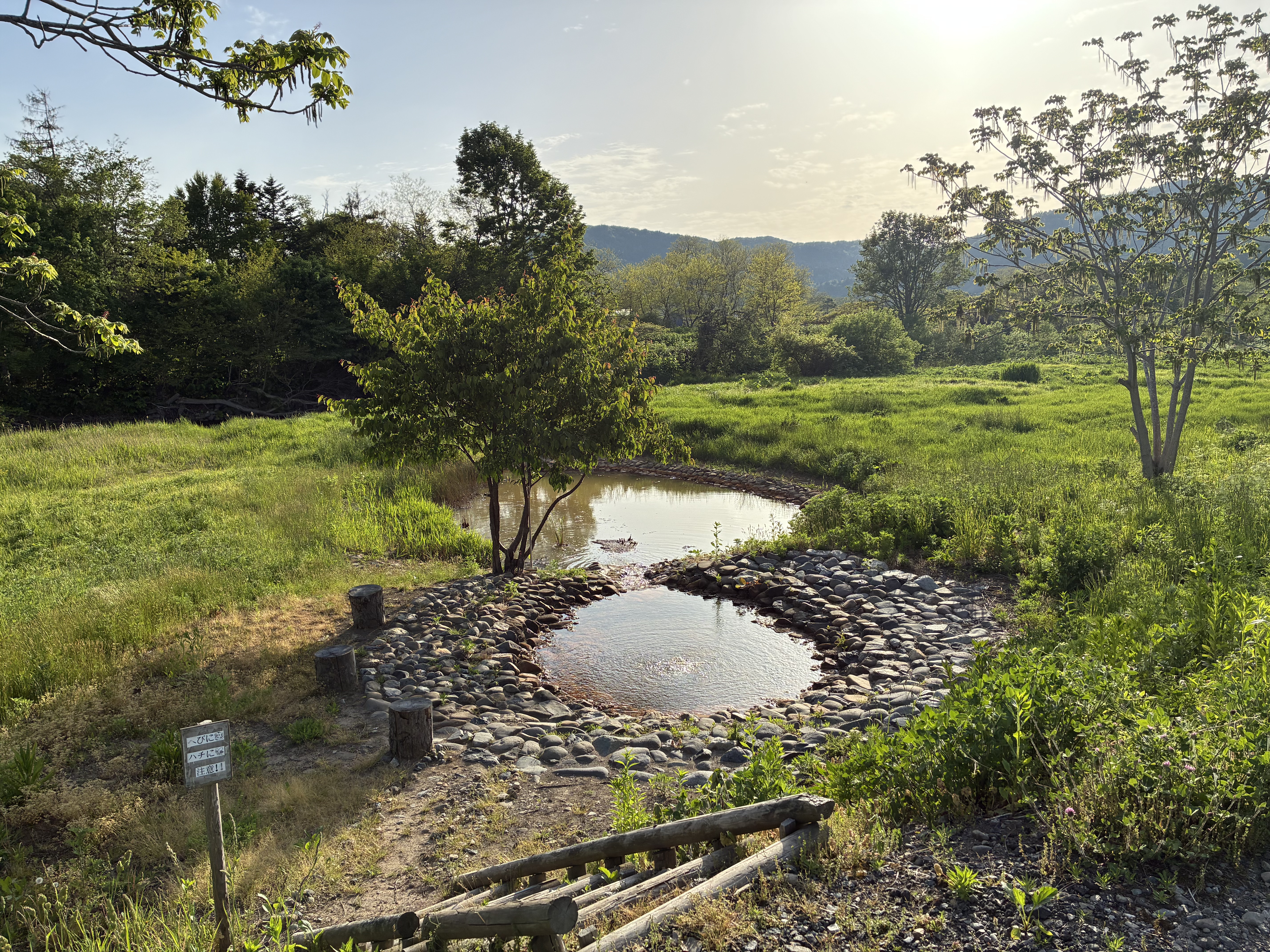 現地の風景 1